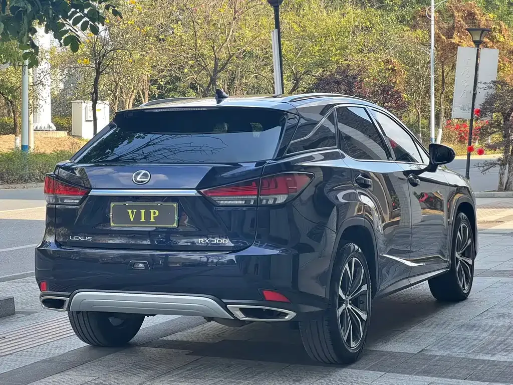 Lexus RX — фото 9