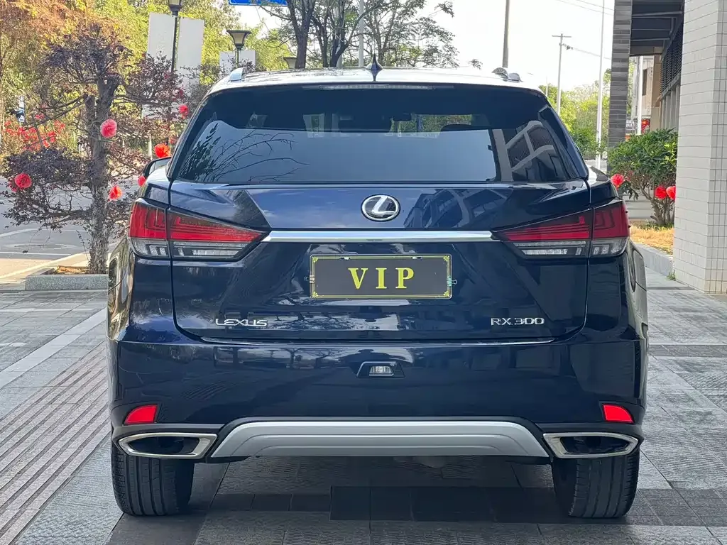 Lexus RX — фото 10