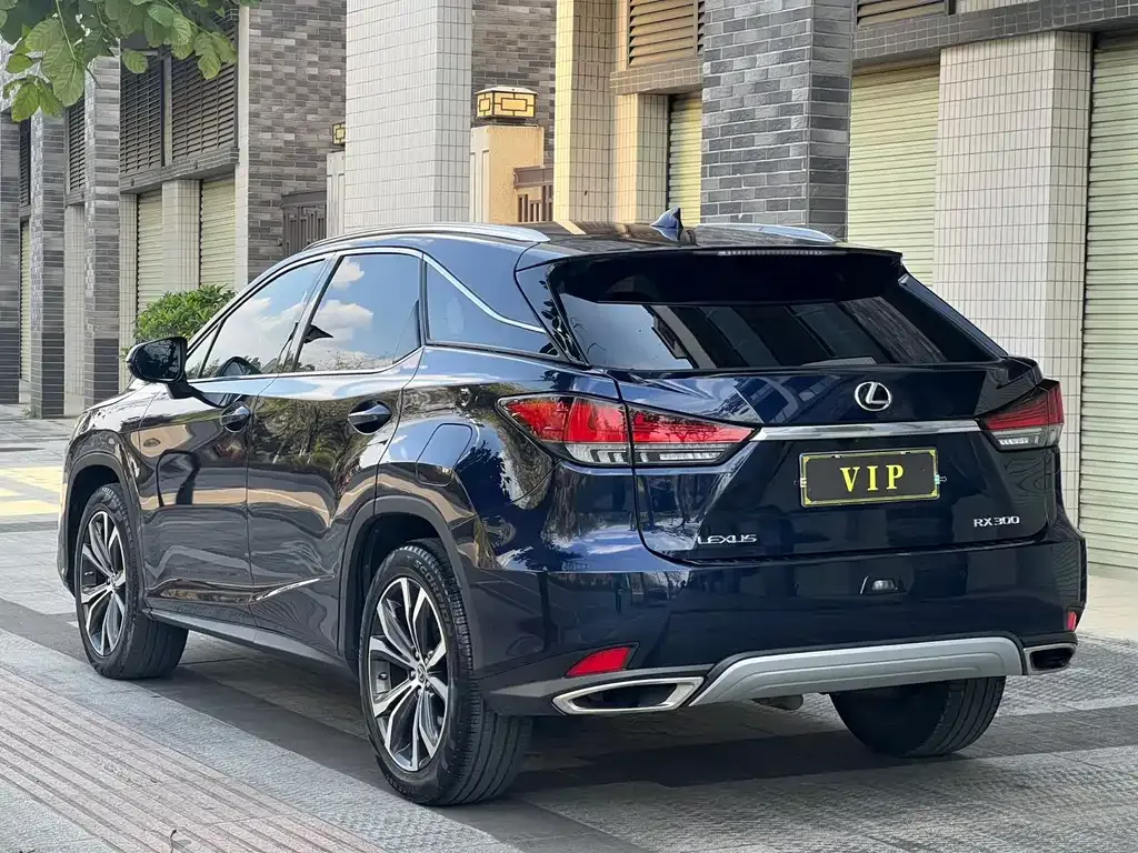 Lexus RX — фото 7