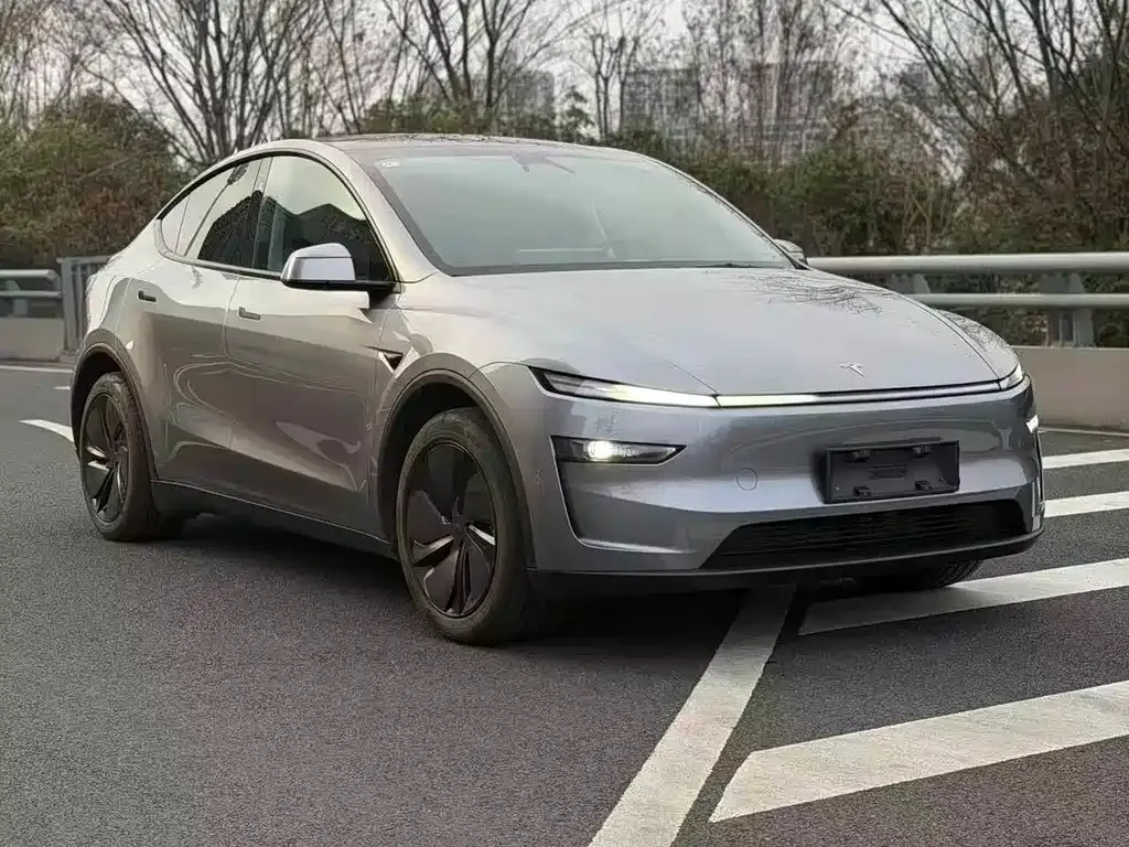 Tesla Model Y — фото 3