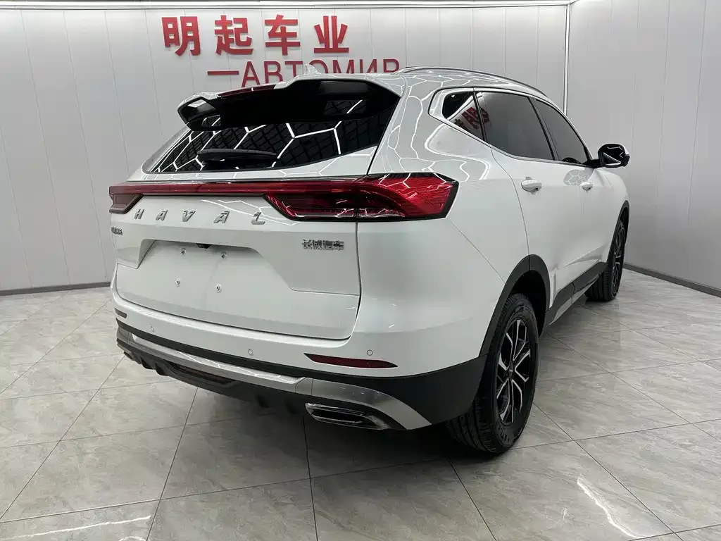 Haval H6 2023 из CN, фото 10