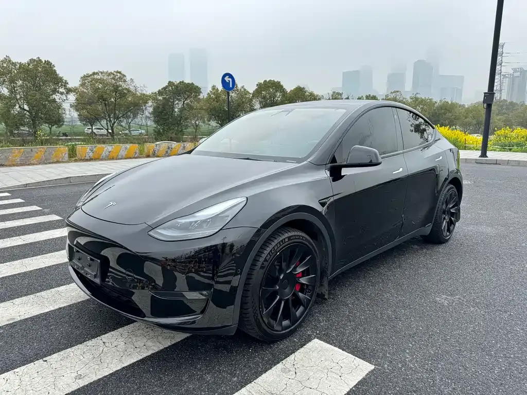 Tesla Model Y — фото 1