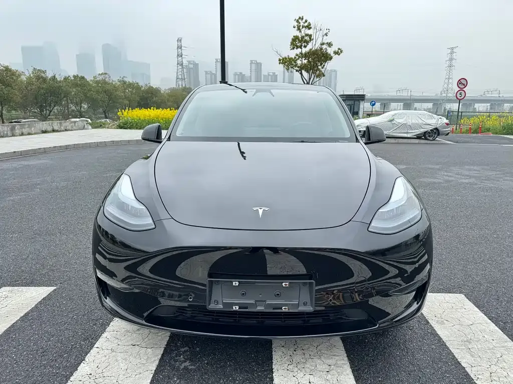 Tesla Model Y — фото 7