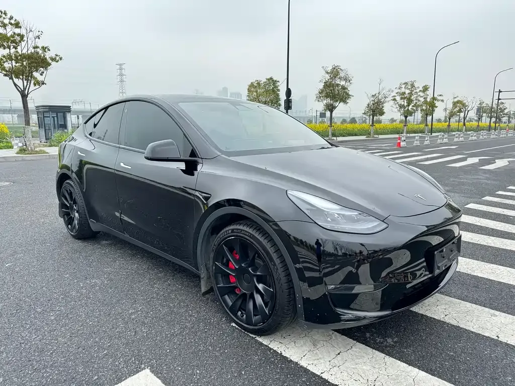 Tesla Model Y — фото 6