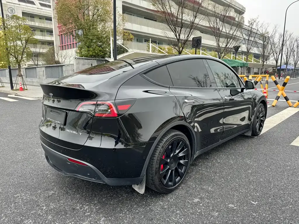 Tesla Model Y — фото 8