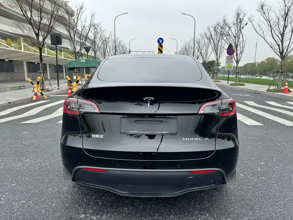 Tesla Model Y — фото 9