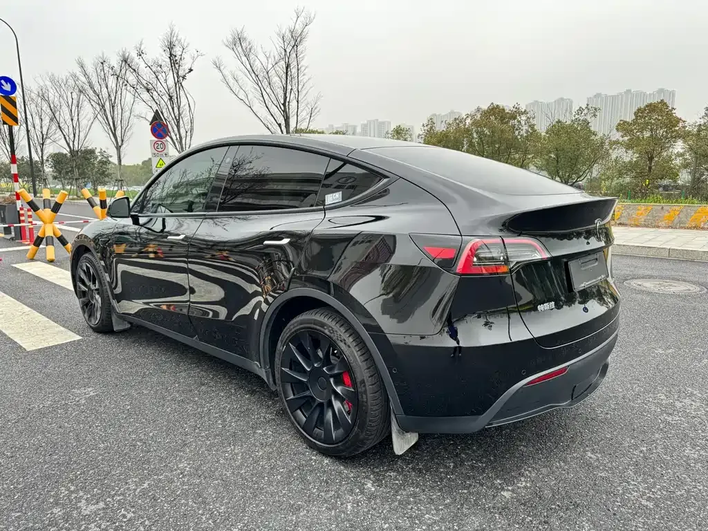 Tesla Model Y — фото 10