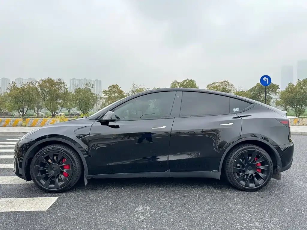 Tesla Model Y — фото 3