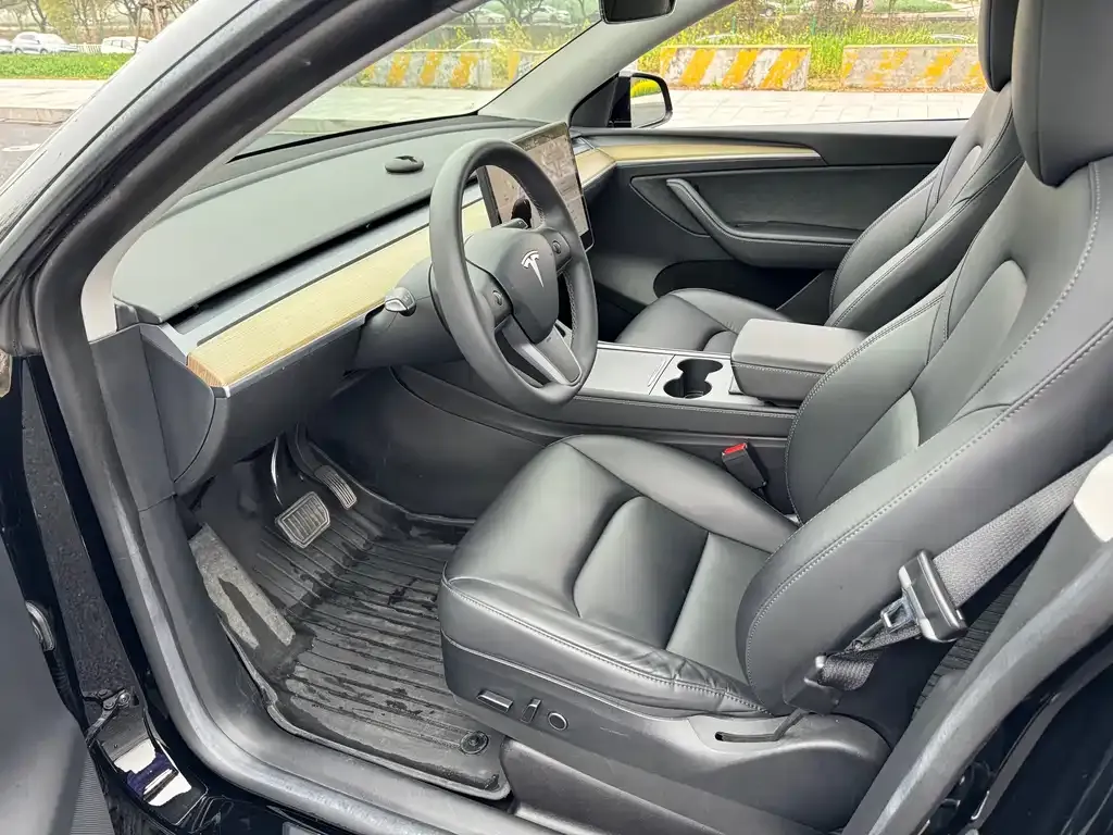 Tesla Model Y — фото 2