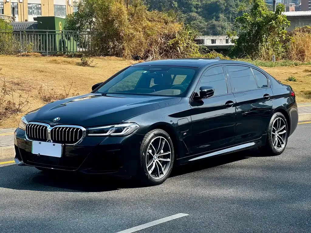 BMW 5 Series New Energy 2021 из CN, фото 1