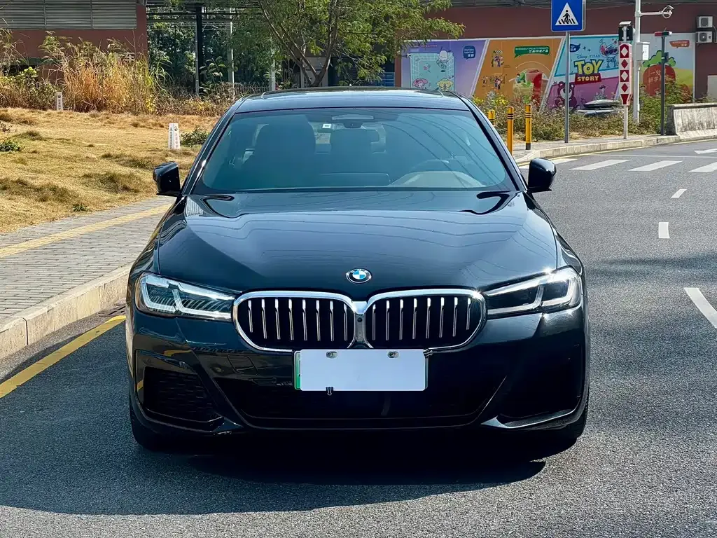 BMW 5 Series New Energy 2021 из CN, фото 10
