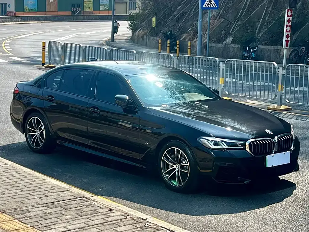 BMW 5 Series New Energy 2021 из CN, фото 5
