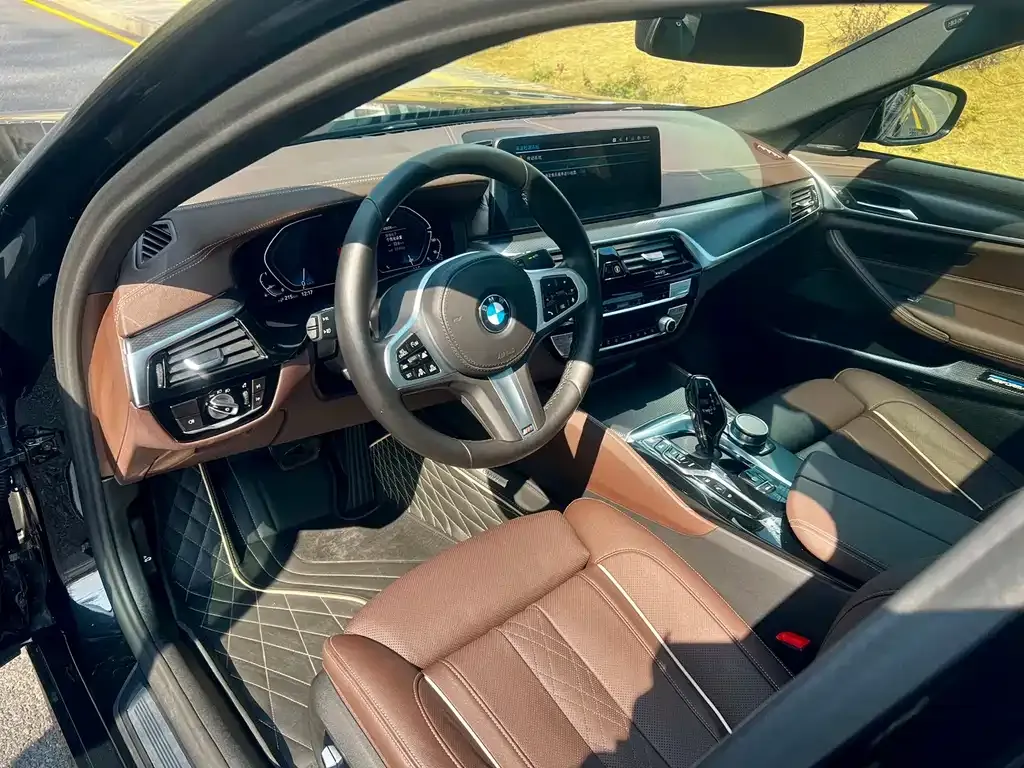 BMW 5 Series New Energy 2021 из CN, фото 8