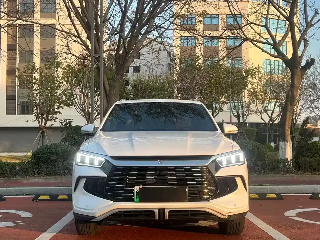 BYD Pro New Energy — фото 9
