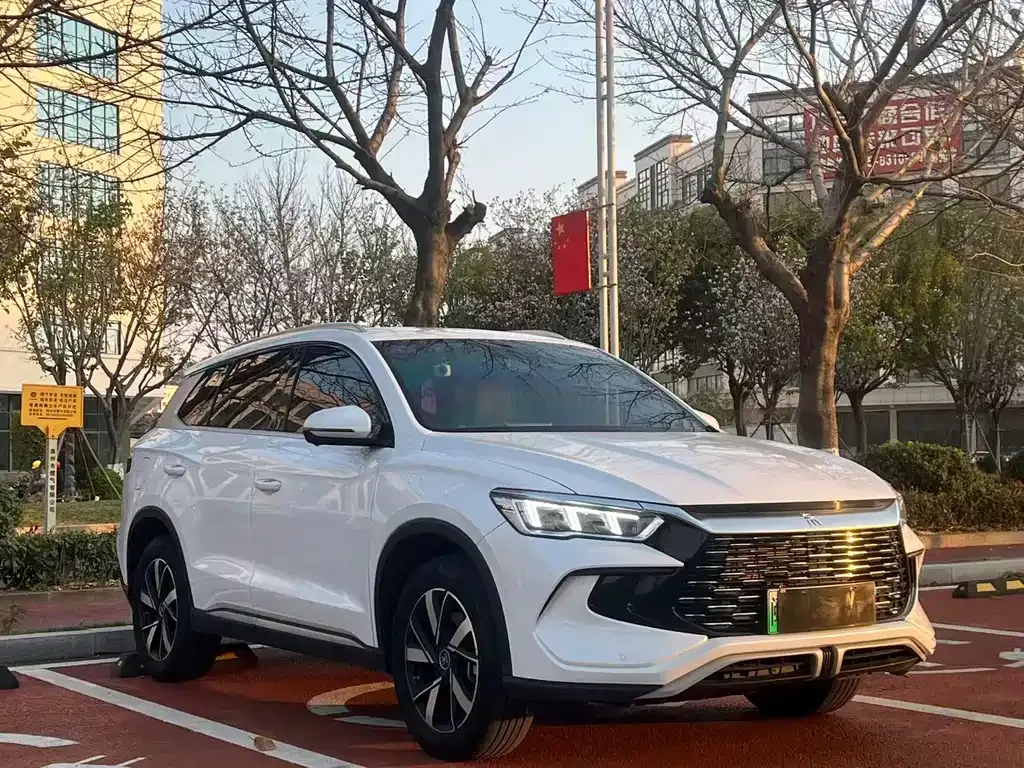 BYD Pro New Energy — фото 3