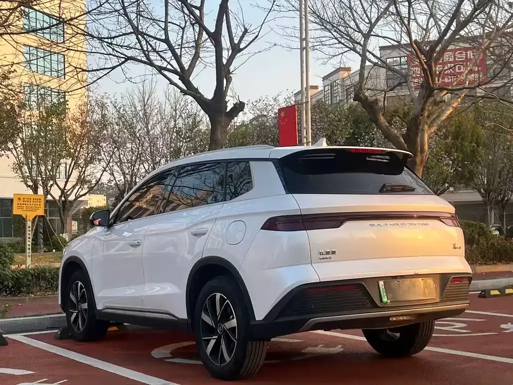 BYD Pro New Energy — фото 4