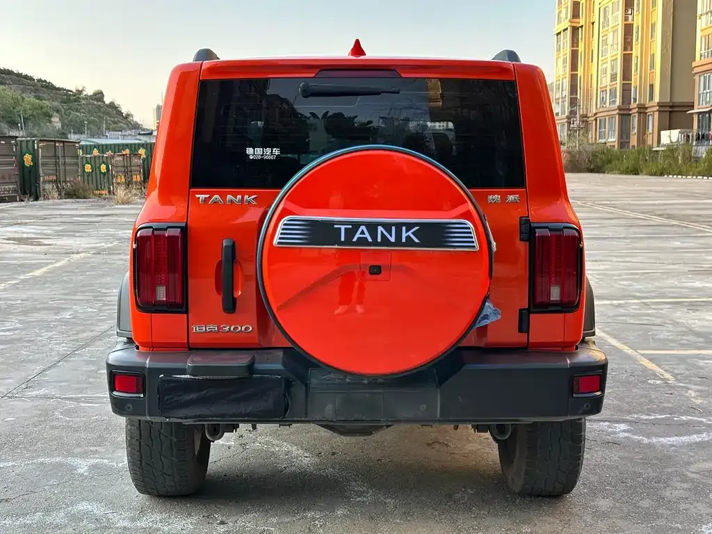 Tank 300 2021 из CN, фото 4