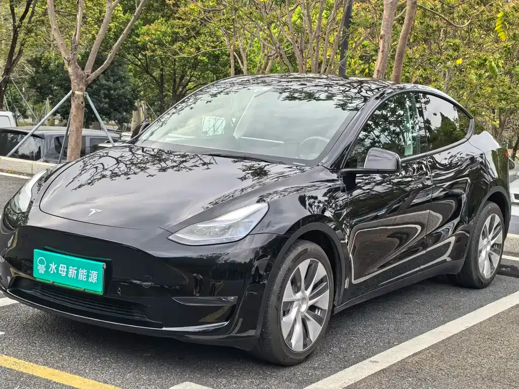 Tesla Model Y — фото 1