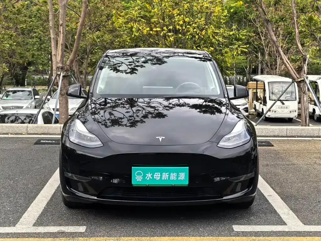 Tesla Model Y — фото 10