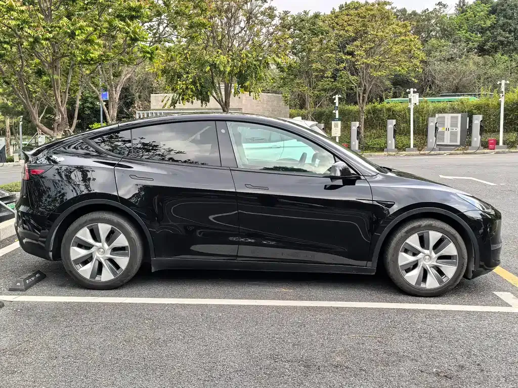 Tesla Model Y — фото 8