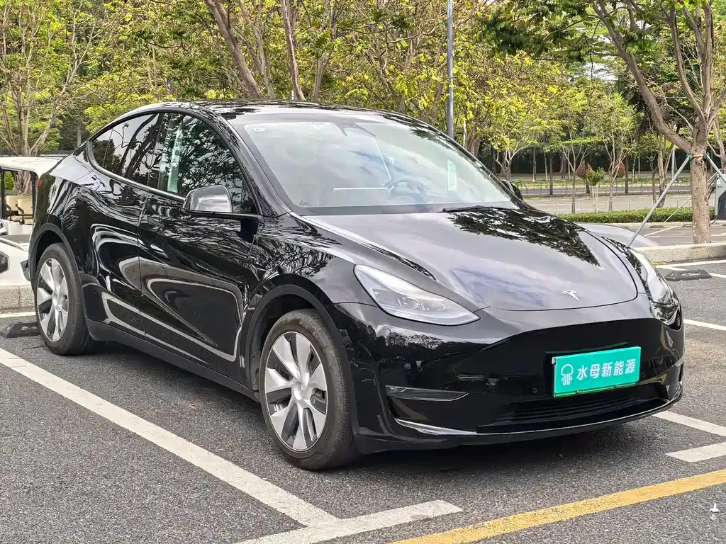Tesla Model Y — фото 6