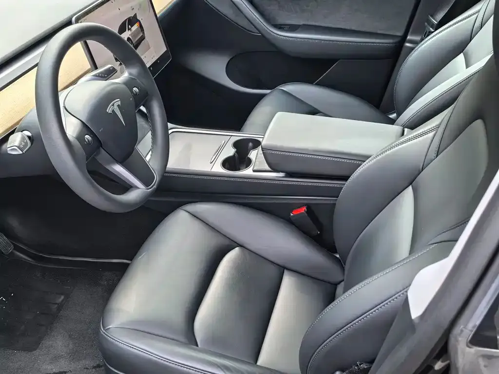 Tesla Model Y — фото 5