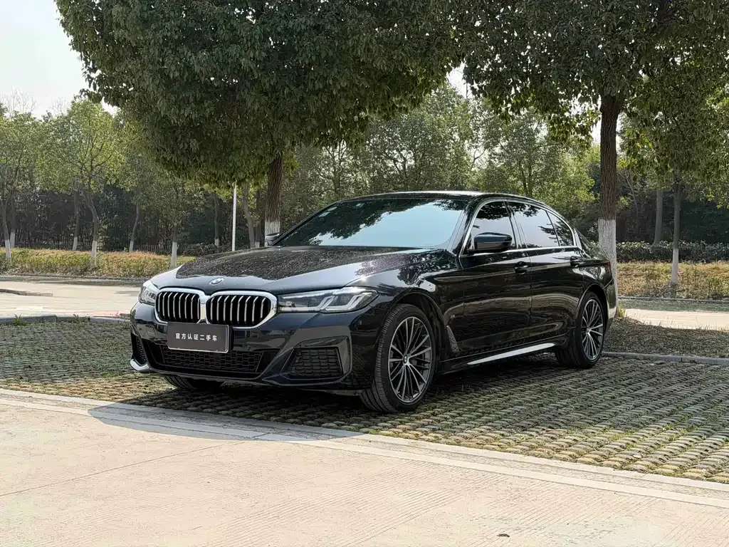 BMW 5 Series — фото 1
