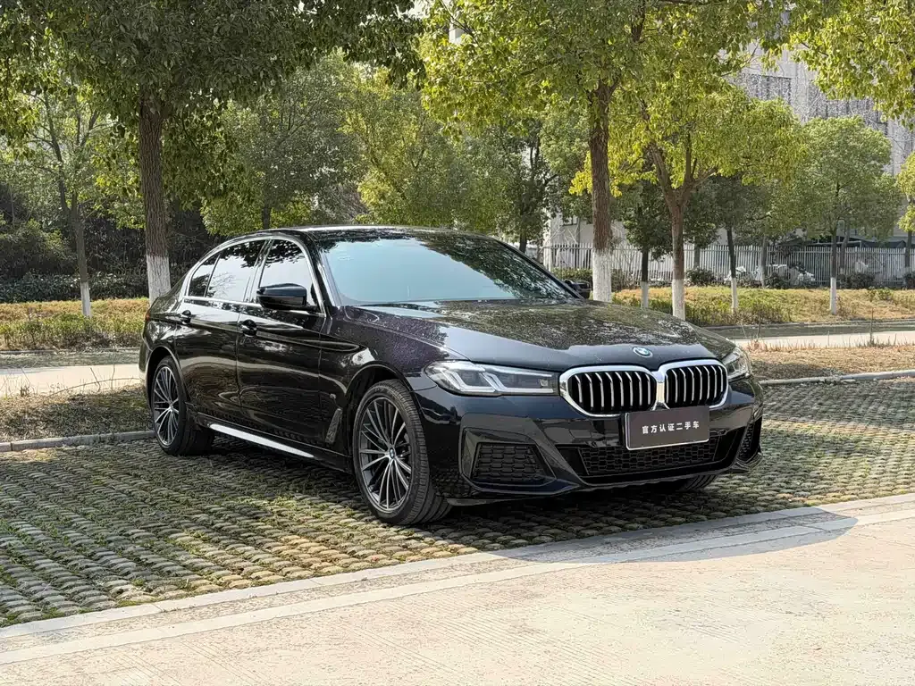 BMW 5 Series — фото 9