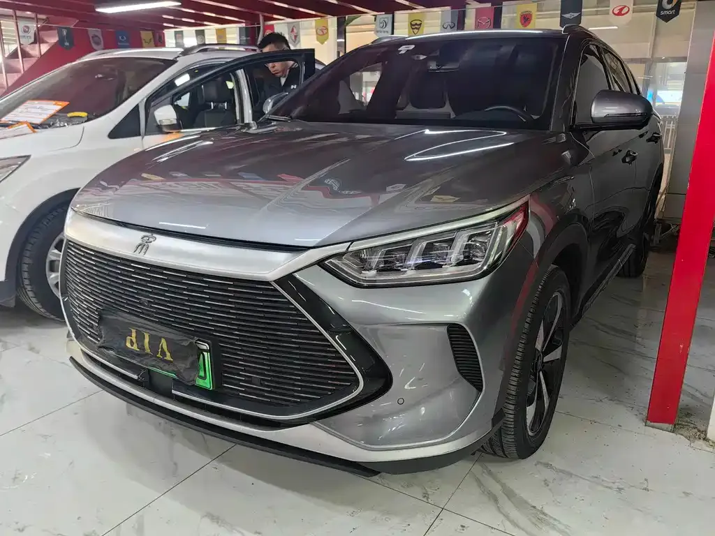 BYD PLUS New Energy — фото 1