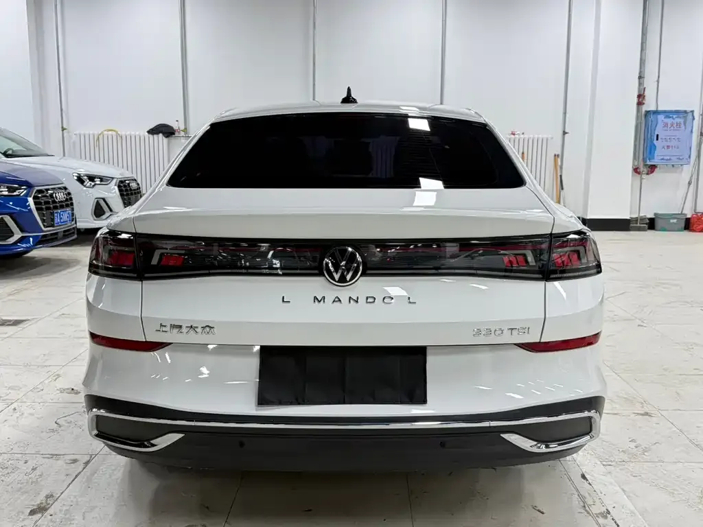 Volkswagen Lamando 2022 из CN, фото 3