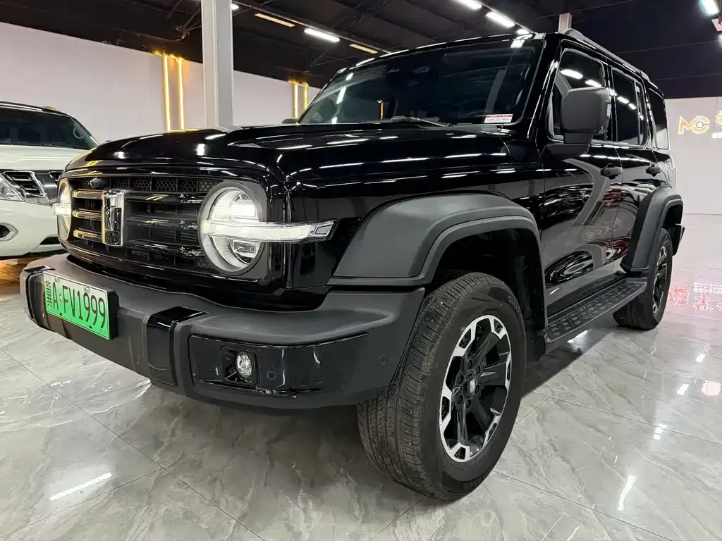 Tank 300 New Energy 2025 из CN, фото 6