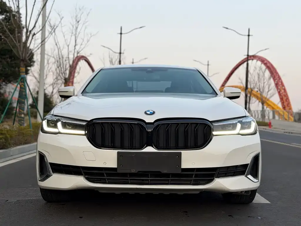 BMW 5 Series 2022 из CN, фото 1
