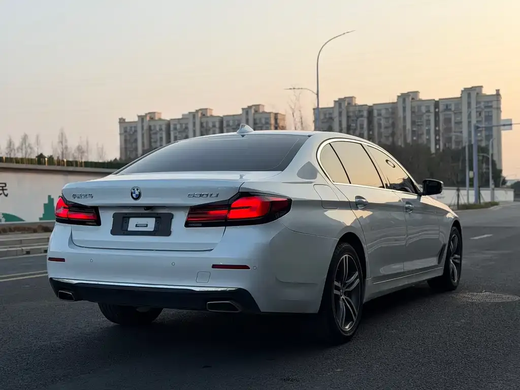 BMW 5 Series 2022 из CN, фото 8