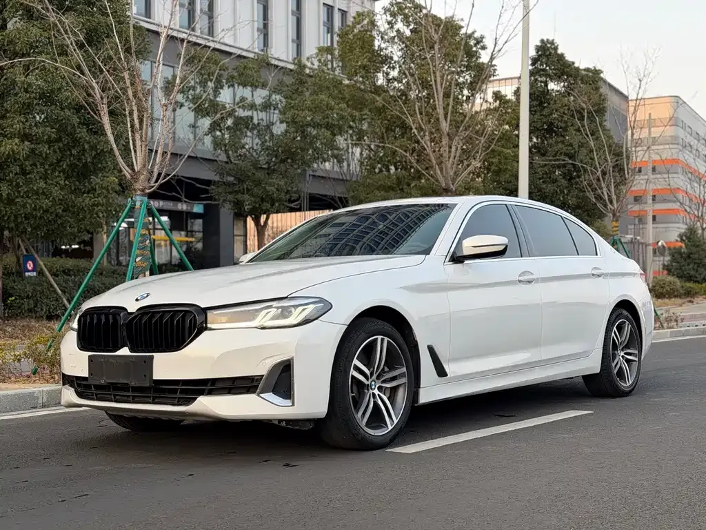 BMW 5 Series 2022 из CN, фото 2