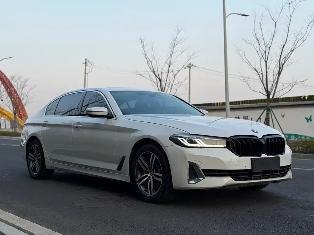 BMW 5 Series 2022 из CN, фото 7