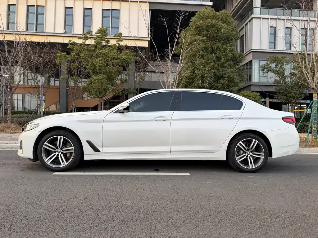 BMW 5 Series 2022 из CN, фото 10