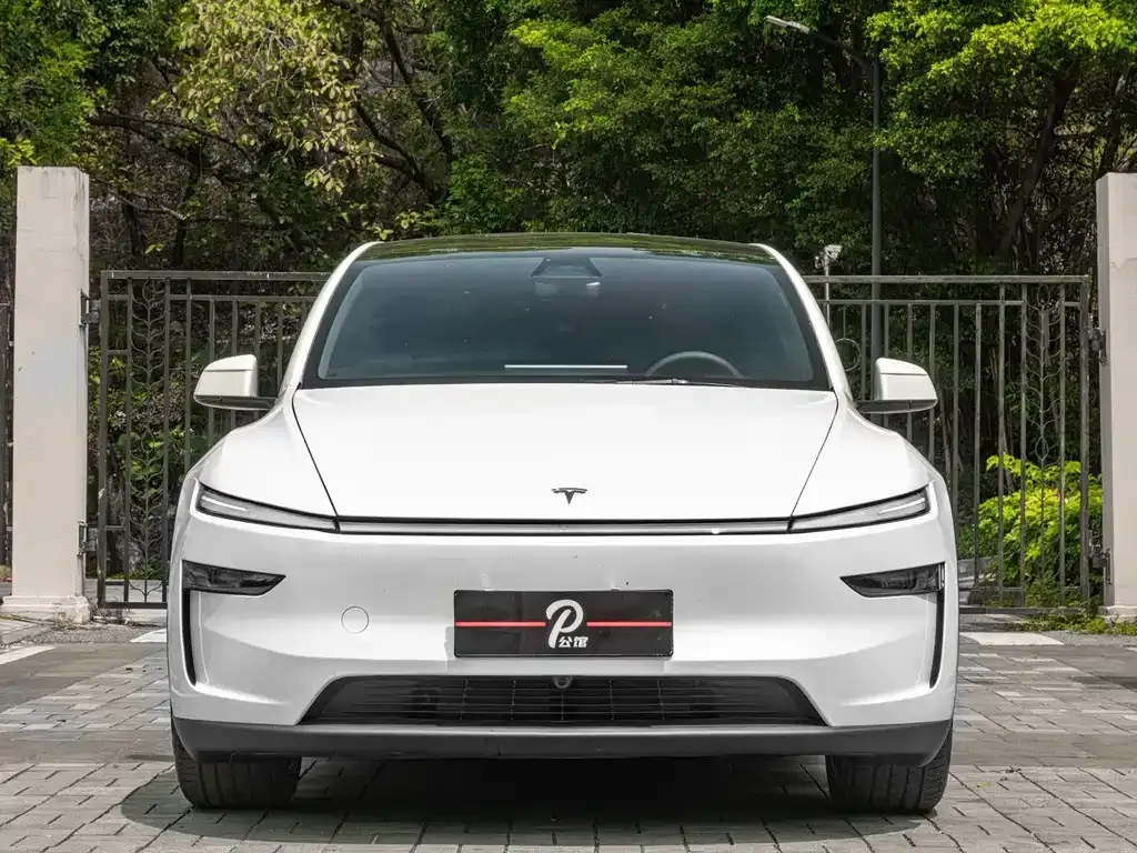 Tesla Model Y L 2025 из CN, фото 5