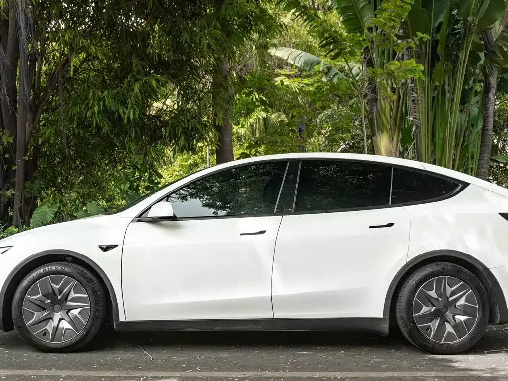 Tesla Model Y L 2025 из CN, фото 6