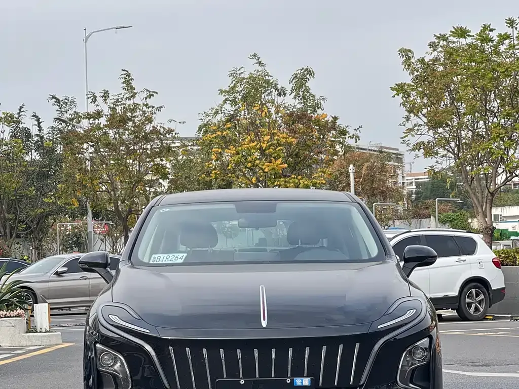 Hongqi E-QM5 — фото 6