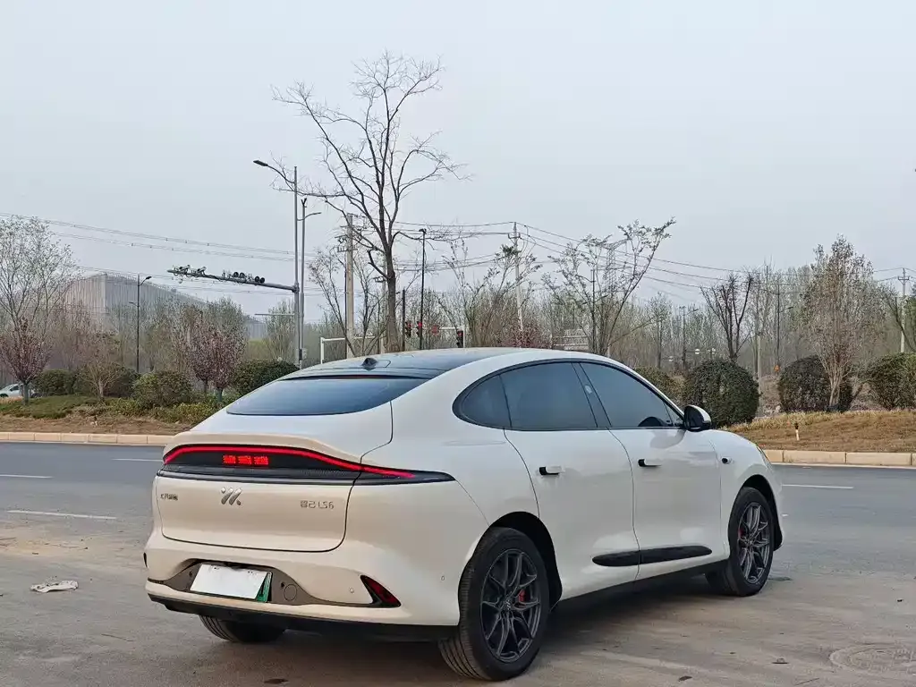IM LS6 2025 из CN, фото 8