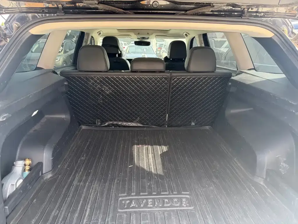 Volkswagen Tavendor 2022 из CN, фото 10
