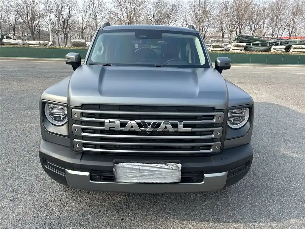 Haval Menglong New Energy 2025 из CN, фото 10