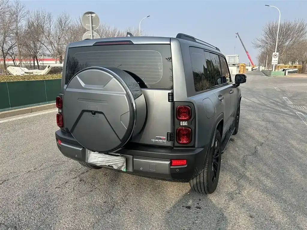 Haval Menglong New Energy 2025 из CN, фото 5
