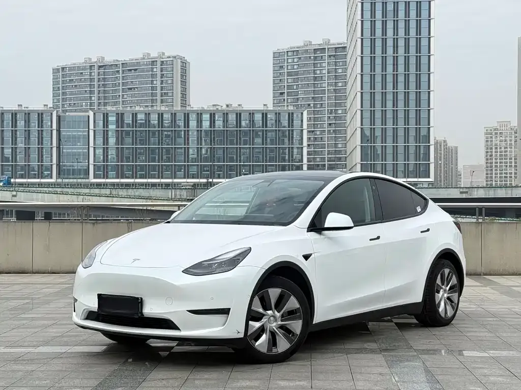 Tesla Model Y — фото 1
