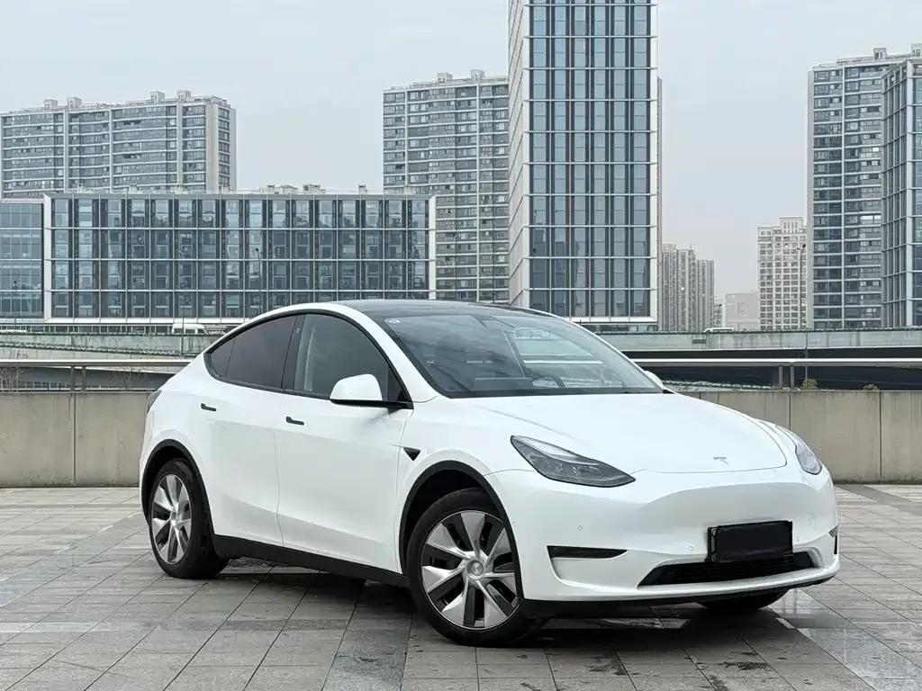 Tesla Model Y — фото 5
