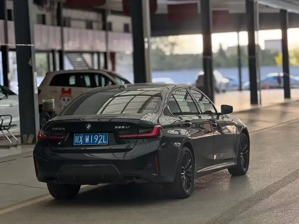 BMW 3 Series 2024 из CN, фото 6