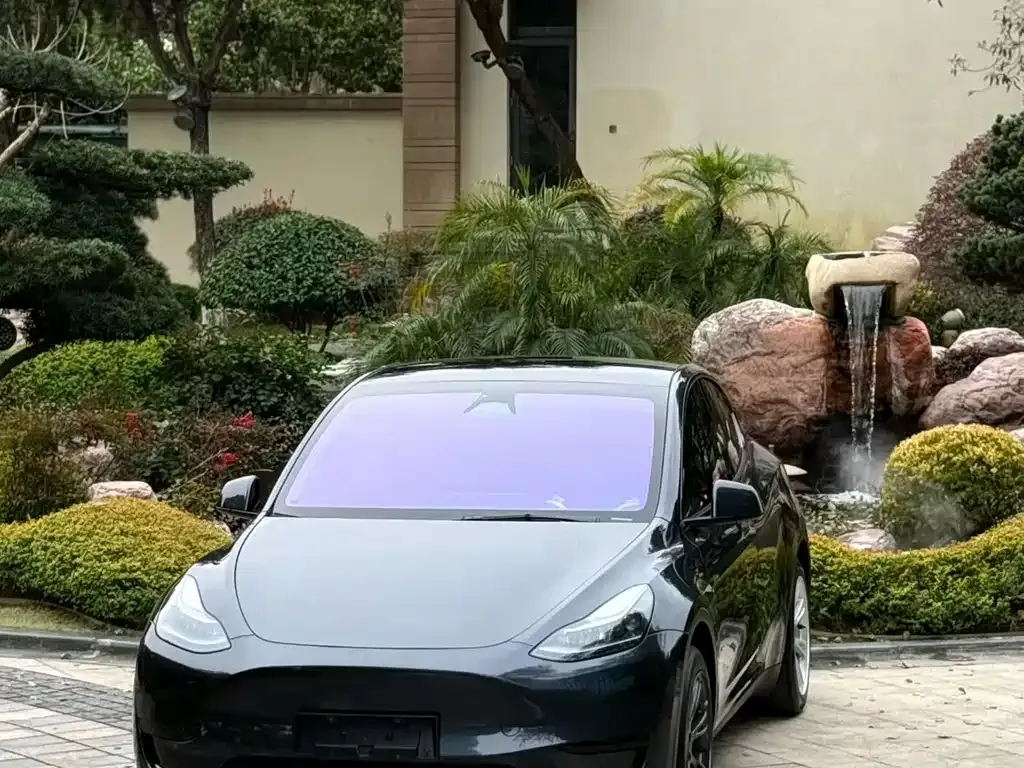 Tesla Model Y 2024 из CN, фото 1