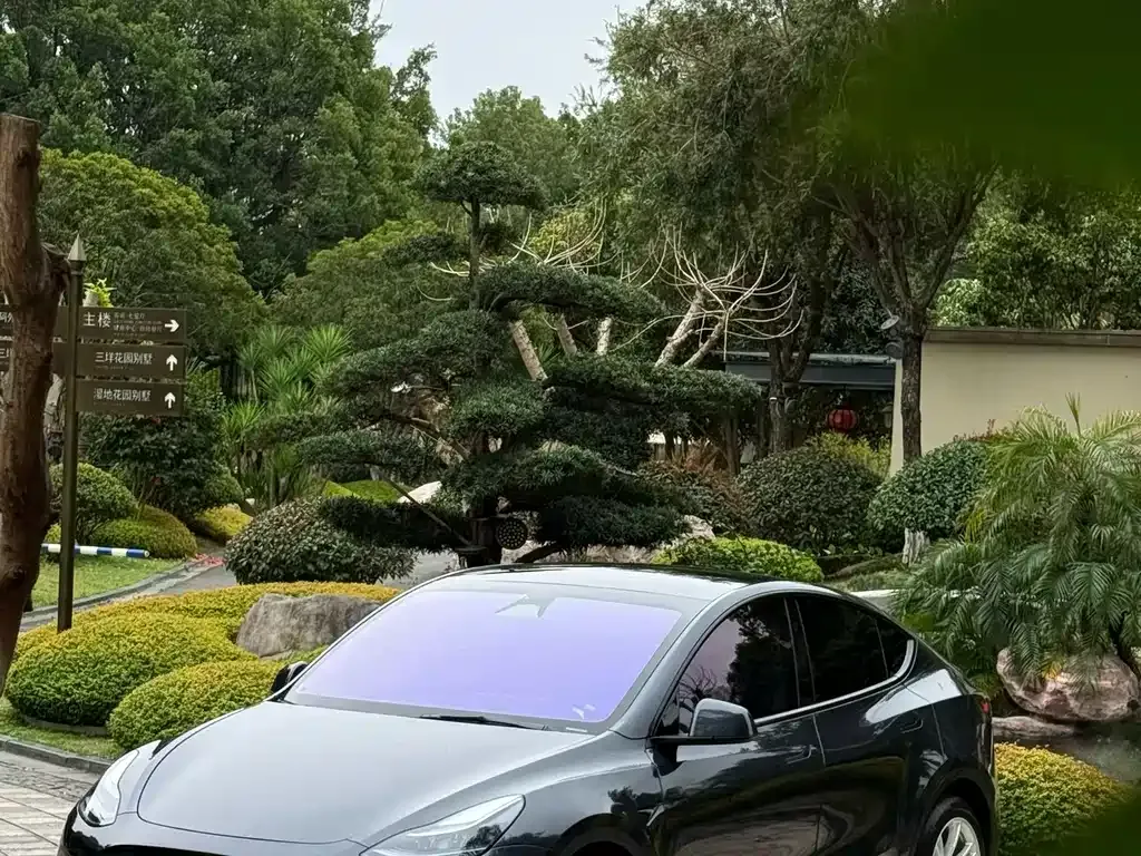 Tesla Model Y 2024 из CN, фото 4