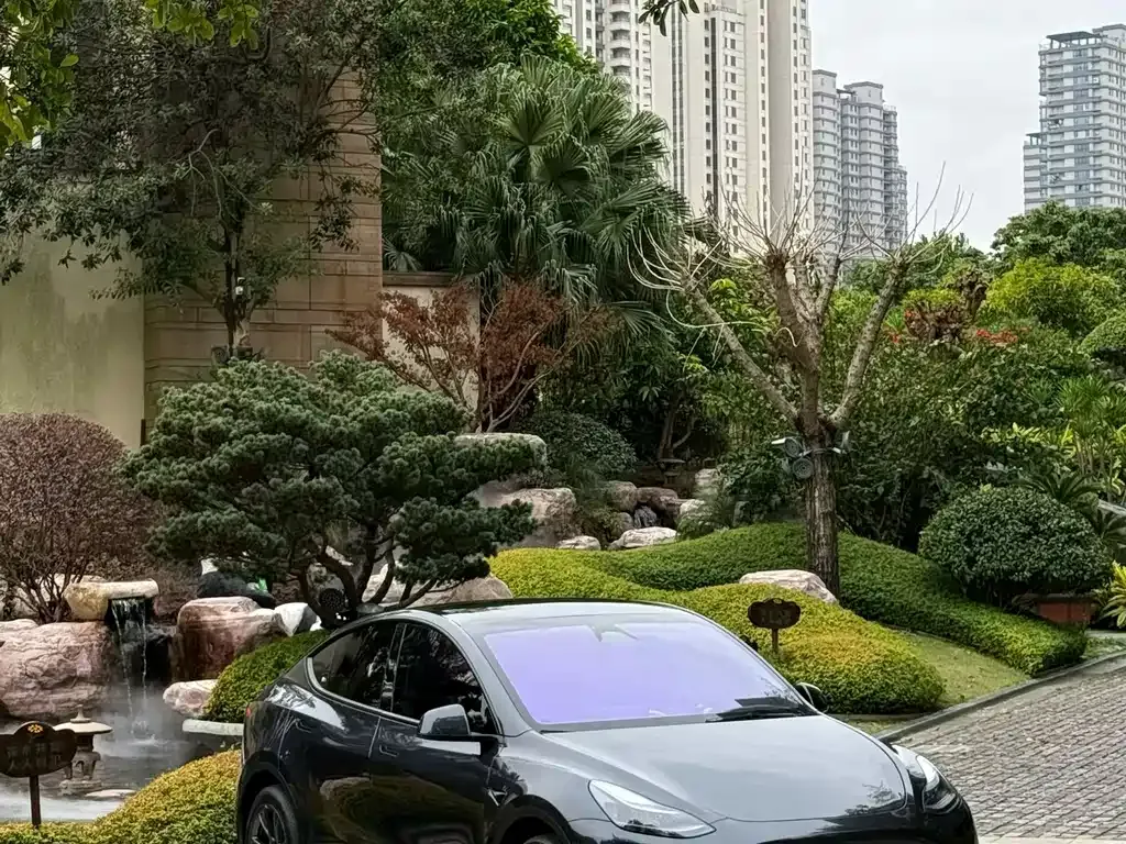Tesla Model Y 2024 из CN, фото 6