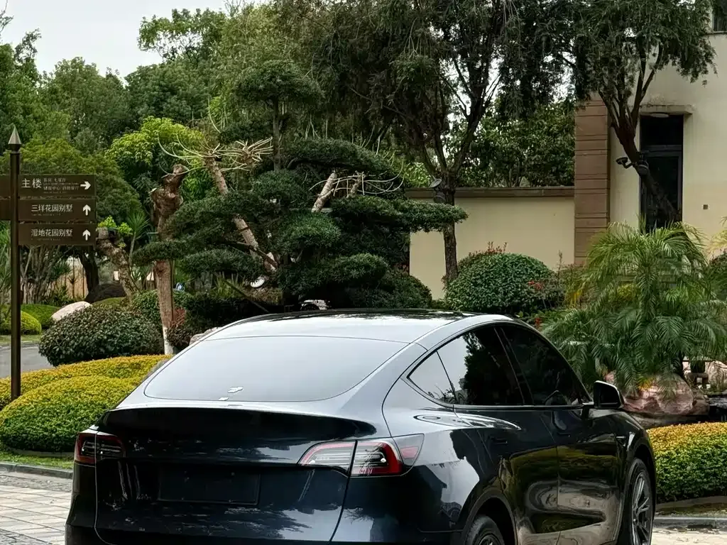 Tesla Model Y 2024 из CN, фото 9